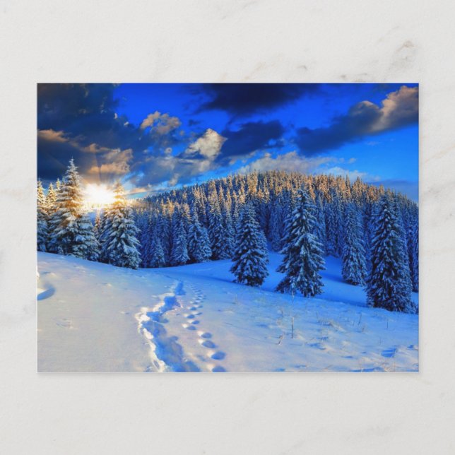 Cartão Postal Blue Winter Sunrise (Frente)