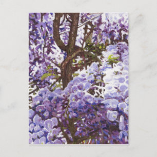 Cartão Postal Blue wisteria 2011