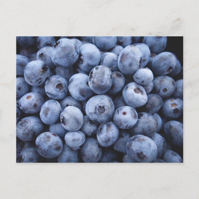 CARTÃO POSTAL BLUEBERRIES FOTOGRAFIA FRUTAS SAUDÁVEIS (Frente)
