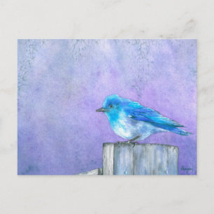Cartão Postal Bluebird Bliss