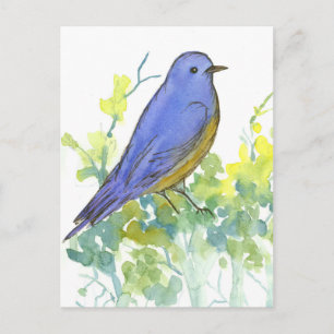 Cartão Postal Bluebird Desert Sagebrush Watercolor