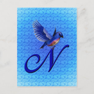Cartão Postal Bluebird Monograma Inicial N Elegante