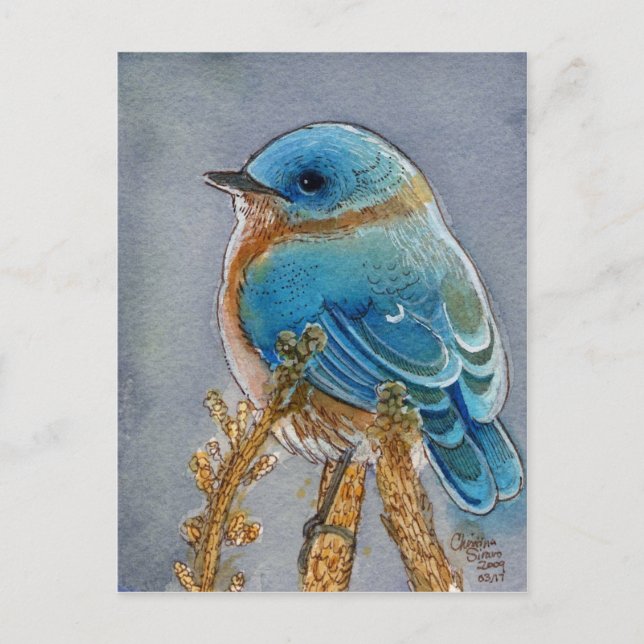 Cartão Postal Bluebird Watercolor (Frente)