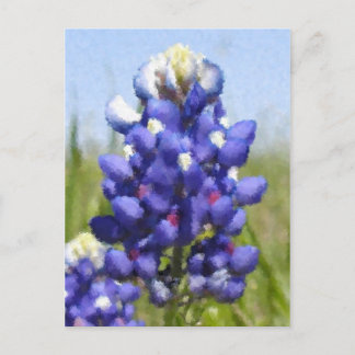 Cartão Postal Bluebonnet "pintado"