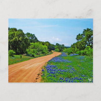 Cartão Postal Bluebonnet Road, Willow City Loop, TX