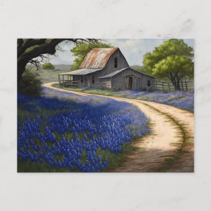 Cartão Postal Bluebonnets e Old Barn no Texas