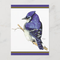 Cartão postal Bluejay 2