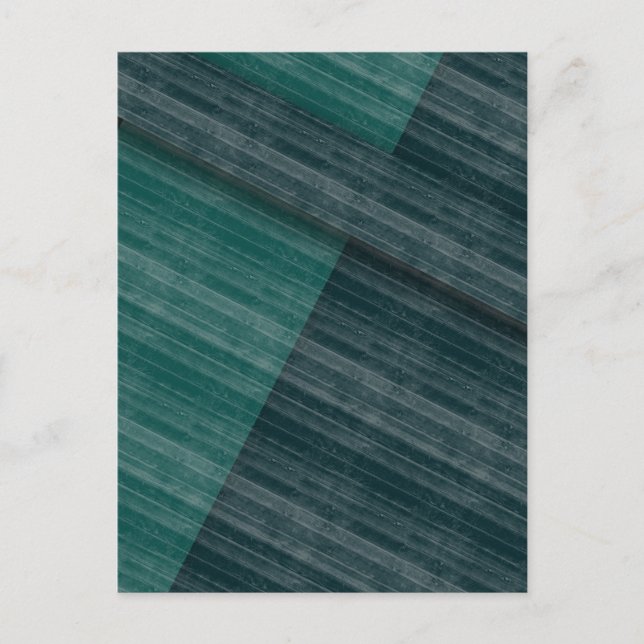 Cartão Postal blues (Frente)