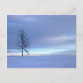 Cartão Postal Blues de inverno