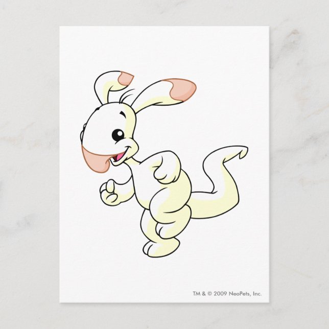 Cartão Postal Blumaroo Branco (Frente)