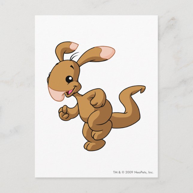 Cartão Postal Blumaroo Brown (Frente)