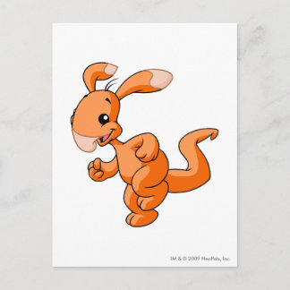 Cartão Postal Blumaroo Orange