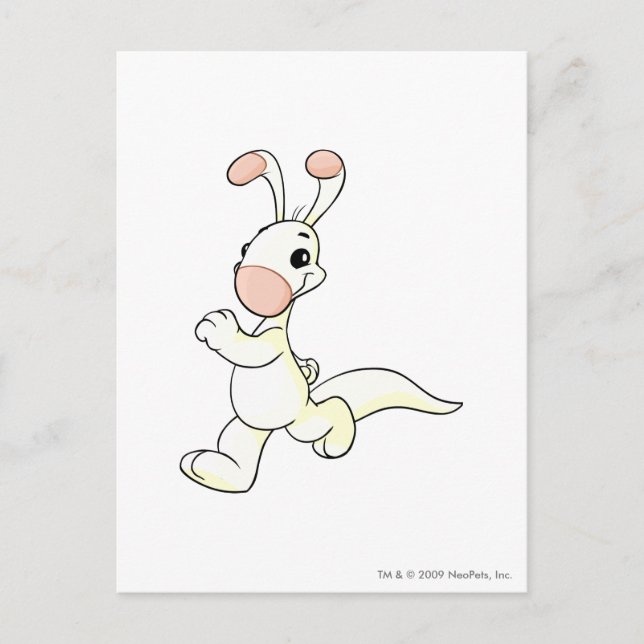 Cartão Postal Blumaroo White (Frente)