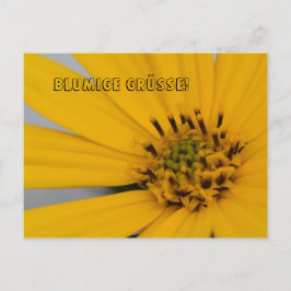 Cartão Postal Blumen Gruß