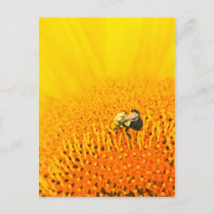 Cartão Postal BNo2: Abelhas liciosas Número 2