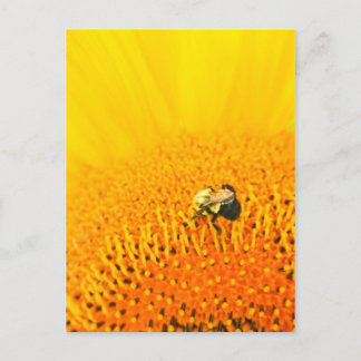 Cartão Postal BNo2: Abelhas liciosas Número 2