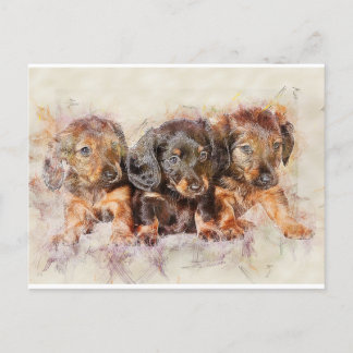 Cartão Postal Boa Amizade