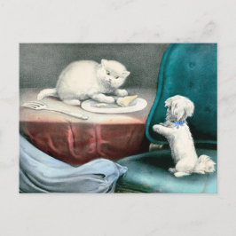 Cartão Postal Boa Fido e gatinho malvado, 1893