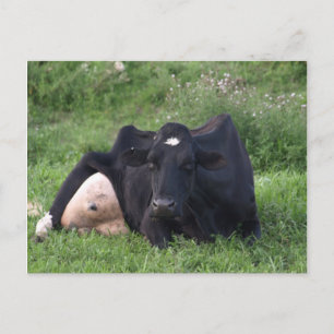 Cartão Postal Boa Manhã WI