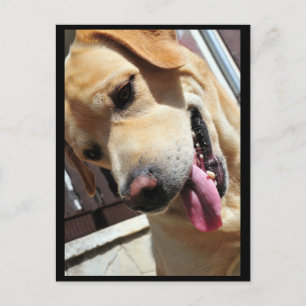 Cartão Postal Boa piada, cara!