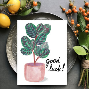 Cartão Postal Boa Sorte Calathea Prayer Plant Watercolor