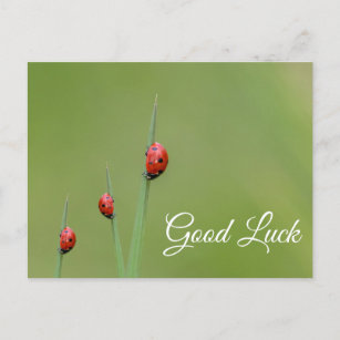 Cartão Postal Boa sorte com pequenas joias bonitas!