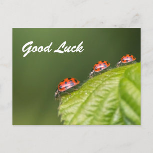 Cartão Postal Boa sorte com pequenas joias bonitas!