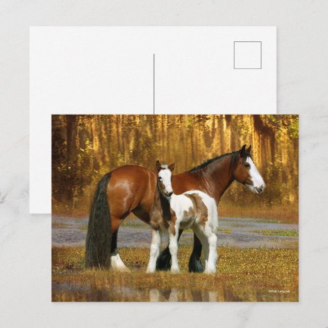 Cartão Postal Bob Langrish | Gypsy Vanner Mare and Foal Fantasy (Frente/Verso)