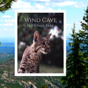 Cartão Postal Bobcat no Parque Nacional de Wind Cave, Dakota do 