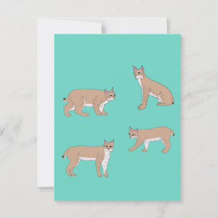 Cartão Postal Bobcats