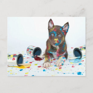 Cartão Postal Bobo Rouco Puppy entrou em Baldes de pintura