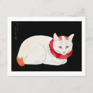 Cartão Postal Bobtail Cat japonês, Shotei