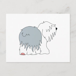 Cartão Postal Bobtail Sheepdog