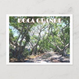 Cartão Postal Boca Grande, Gasparilla Island, Florida Banyans