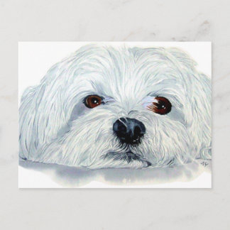 Cartão Postal Bogart, o Cartão-Postal Maltês