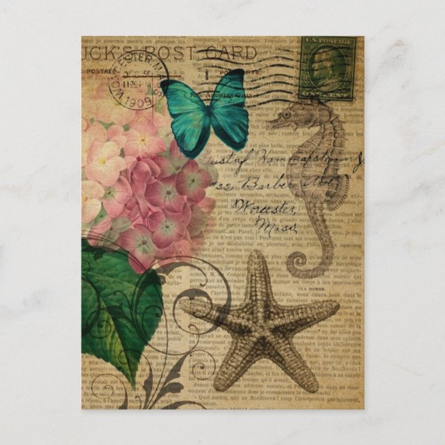 Cartão Postal boho Hydrangea borterfly starfish francês Botânico (Frente)