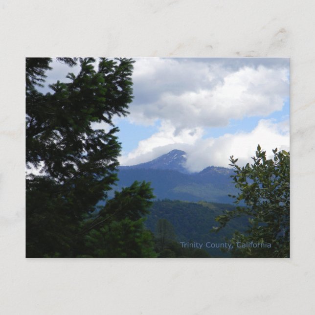 Cartão Postal Boi com nuvens... (Frente)