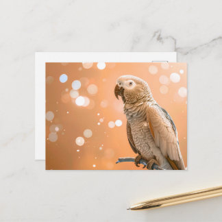 Cartão Postal Bokeh Bonito Papagaio Africano