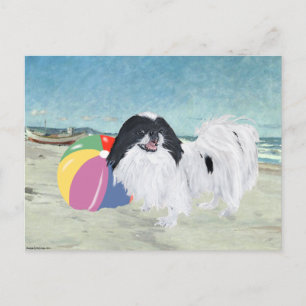 Cartão Postal Bola de Praia Japanese Chin