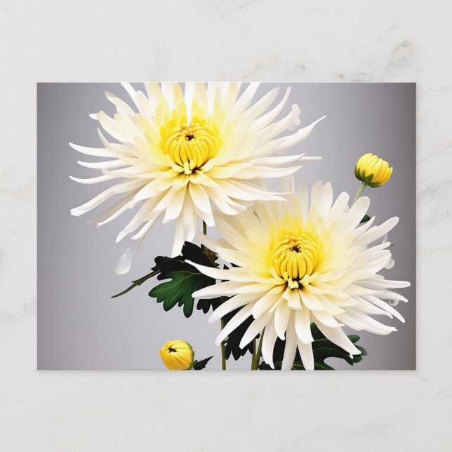 Cartão Postal Bold Chrysanthemum Abstrato (Frente)
