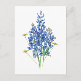 Cartão Postal Boletins e flores silvestres