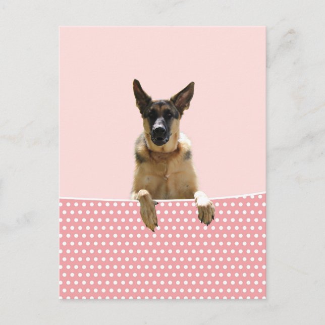 Cartão Postal Bolinhas Rosa german shepherd (Frente)