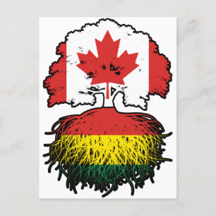 Cartão Postal Bolívia Bolívia Canadá Árvore canadiana Bandeira