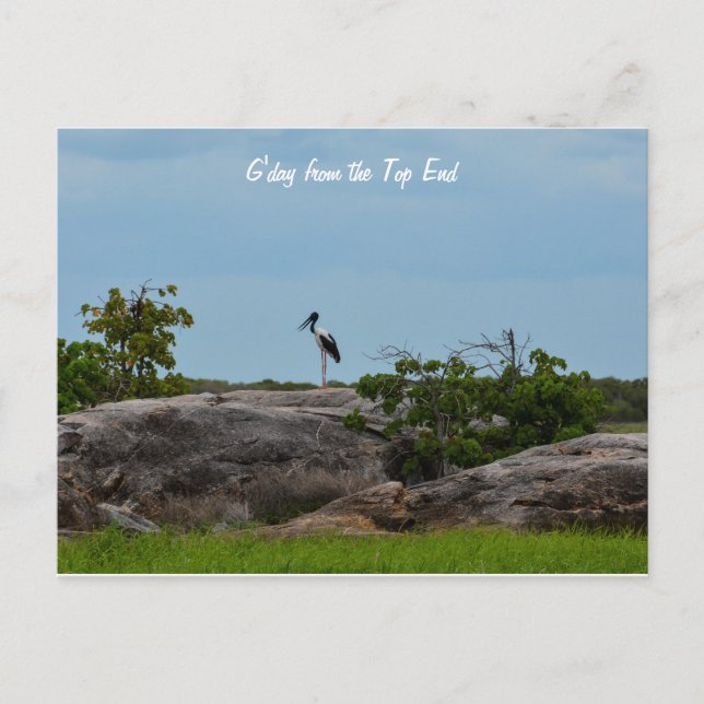 Cartão Postal Bom dia (Frente)