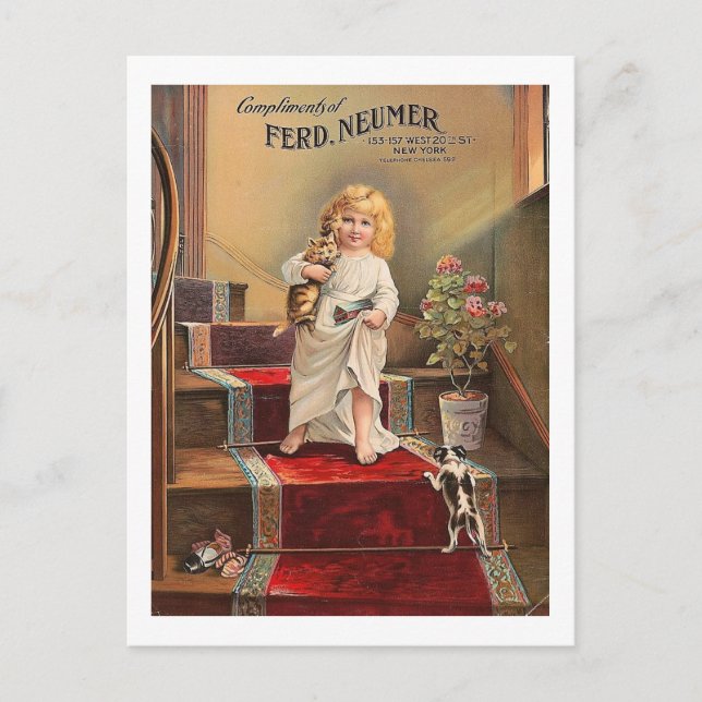 Cartão Postal Bom Dia, Garota, Saudação, Cãozinho, Bonito, Vinta (Frente)