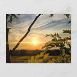 Cartão Postal Bom dia, Oklahoma