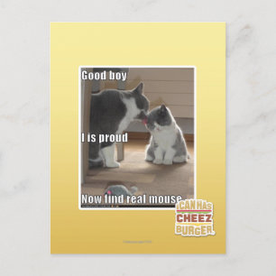 Cartão Postal Bom menino