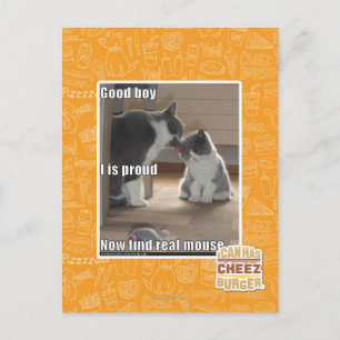 Cartão Postal Bom menino