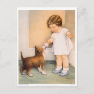 Cartão Postal Bom Rapaz! Cartão-postal Collie de Borda