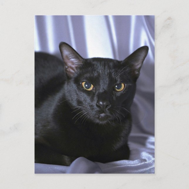 Cartão Postal Bombaim (Frente)